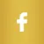 facebook-icn