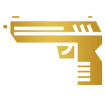 gun-icn